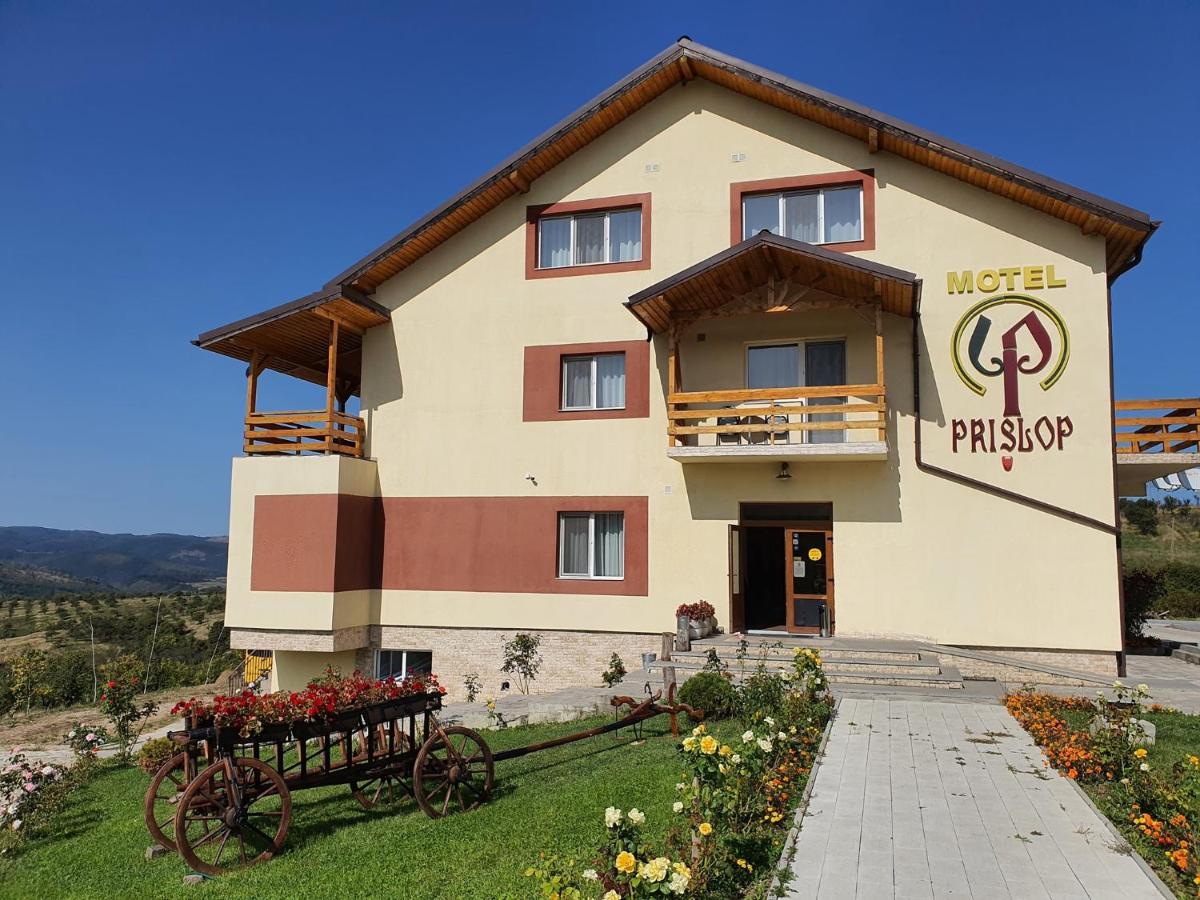 Motel Prislop Haţeg Extérieur photo