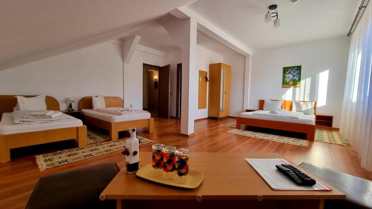 Motel Prislop Haţeg Extérieur photo